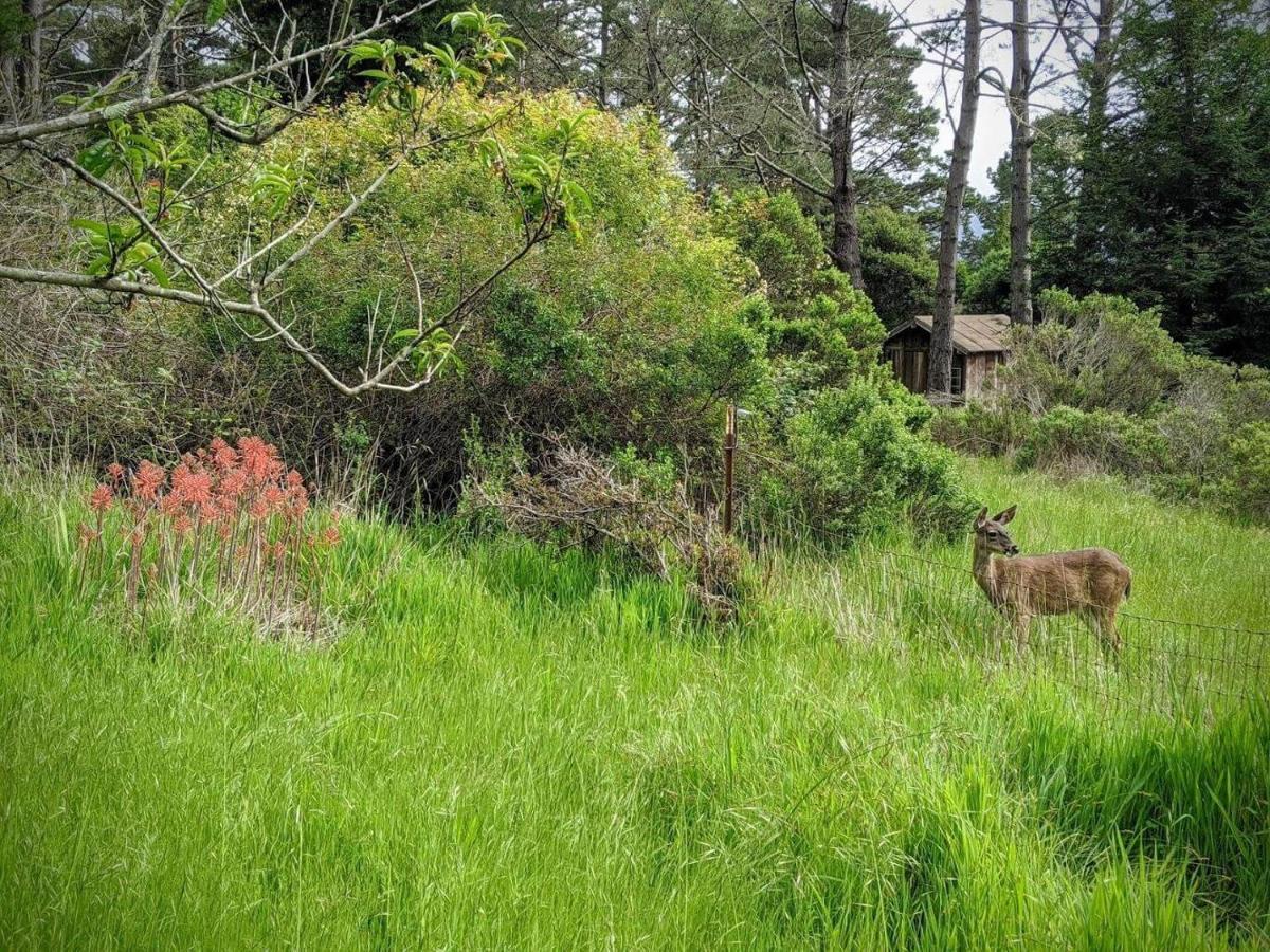 ポイント・レイズ・ステーション The Quail'S Nest Retreatヴィラ エクステリア 写真